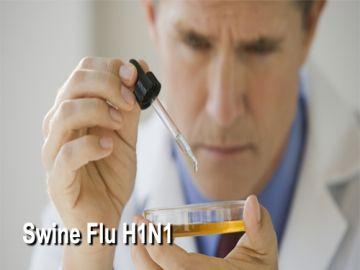 Swine Flu (H1N1 Flu)