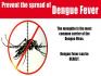 Dengue Fever