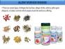 Allergy Treatment