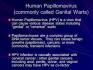 HPV Also called: Human papillomavirus