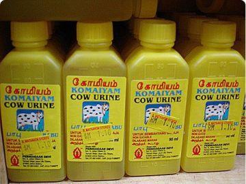 Cow Urine