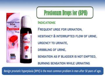SBL Prostonum