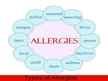 Types of Allergies
