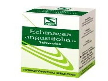ECHINACEA ANGUSTIFOLIA 1X