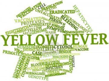 Yellow Fever