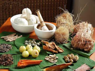 About Ayurveda