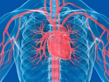 Ischaemic Heart Disease