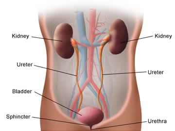 Urinary Tract Infection