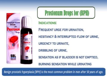 SBL Prostonum