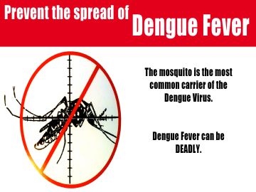 Dengue Fever