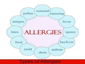Types of Allergies