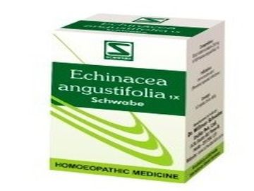 ECHINACEA ANGUSTIFOLIA 1X