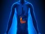 Gall Bladder Disorder